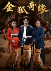 金狐奇缘(42集) 金狐奇缘(42集)最热短剧推荐