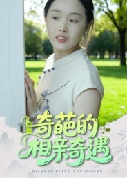 奇葩的相亲奇遇(17集) 奇葩的相亲奇遇(17集)评价怎么样