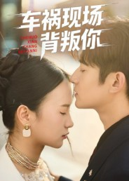 车祸现场背叛你(37集) 车祸现场背叛你(37集)口碑爆棚免费看
