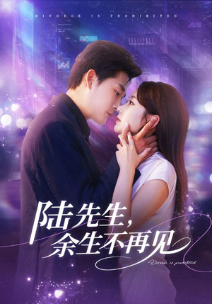 陆先生，余生不再见（88集）女主谁演的