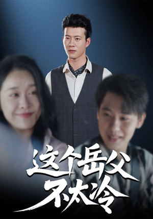 这个岳父不太冷（30集）最后一集