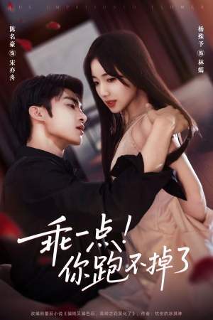 乖一点!你跑不掉了(80集) 乖一点!你跑不掉了(80集)全集都在这里了