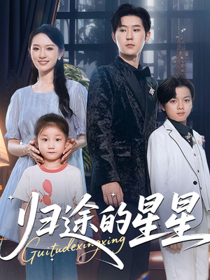归途的星星（100集）百度在线观看
