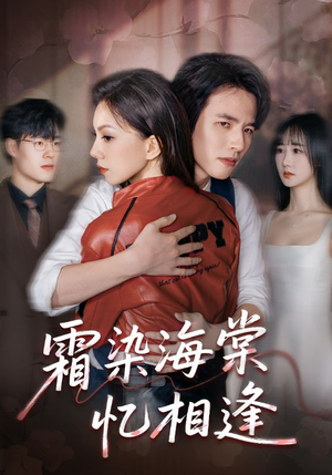 霜染海棠忆相逢（72集）好看的国产短剧