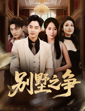 别墅之争(59集) 别墅之争(59集)追短剧看全集