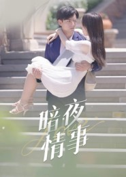 暗夜情事（100集）免费看短剧全集