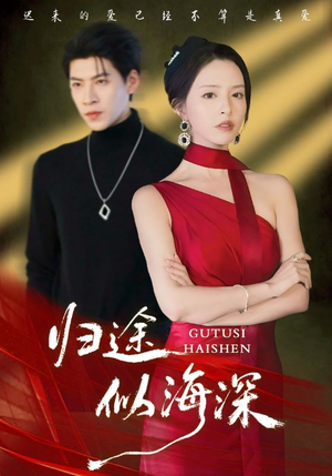 归途似海深(61集) 归途似海深(61集)每天短剧分享