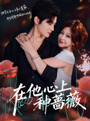 在他心上种蔷薇（81集）常回家看看短剧