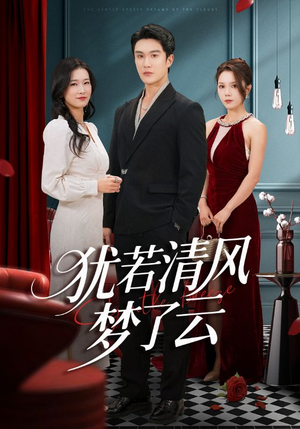 犹若清风梦了云(66集) 犹若清风梦了云(66集)全集免费看短剧