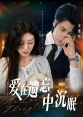 爱在遗忘中沉眠(62集) 爱在遗忘中沉眠(62集)热播短剧排行榜