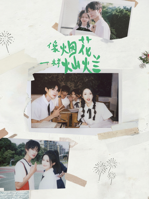 像烟花一样灿烂（60集）男频短剧推荐