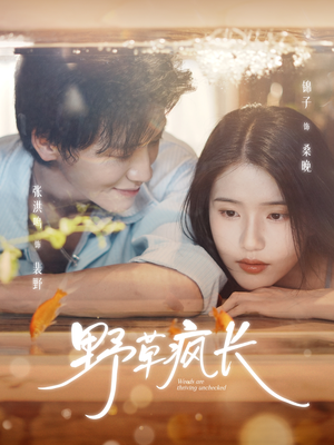 野草疯长(71集) 野草疯长(71集)短剧精彩不断