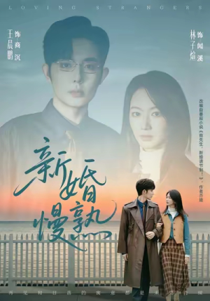 新婚慢熟(105集) 新婚慢熟(105集)夸克网盘在线看