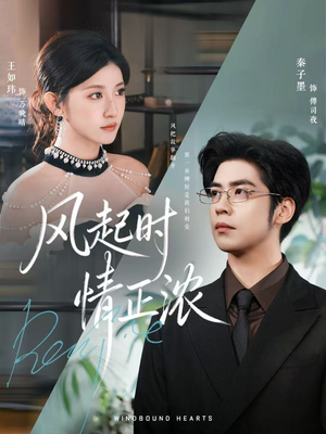 风起时情正浓（79集）短剧免费看