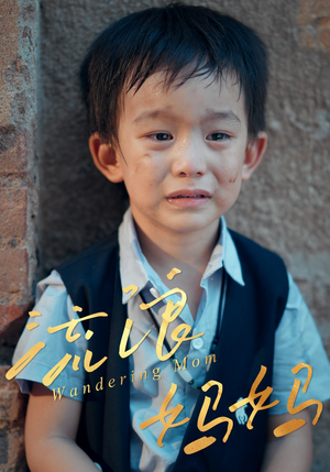 流浪妈妈（30集）好看的国产短剧