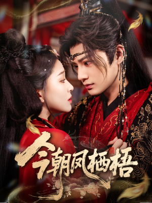 今朝凤栖梧(68集) 今朝凤栖梧(68集)无需会员免费看