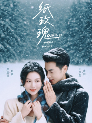 纸玫瑰第二部（80集）上热门短剧