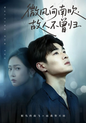 微风向南吹,故人不曾归(72集) 微风向南吹,故人不曾归(72集)精彩短剧随心推