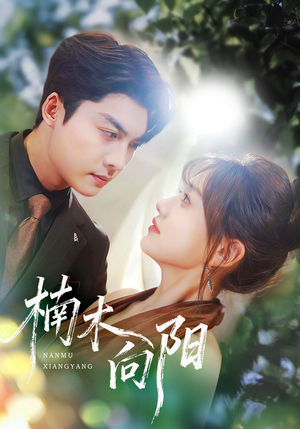 楠木向阳（70集）在线看完整版