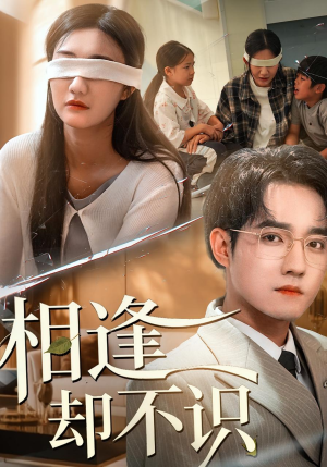 相逢却不识(77集) 相逢却不识(77集)解说文案