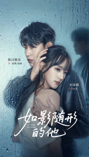 如影随形的他（30集）追短剧看全集