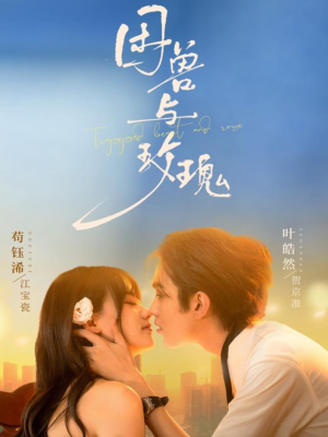 困兽与玫瑰（90集）热播短剧重燃