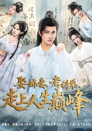 娶娇妻,考科举,走上人生巅峰(80集) 娶娇妻,考科举,走上人生巅峰(80集)好短剧分享