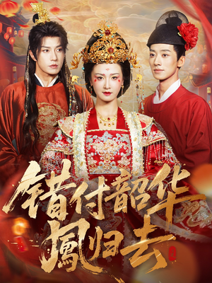 错付韶华凤归去（61集）全集免费