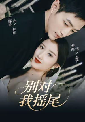 别对我摇尾(59集) 别对我摇尾(59集)热门短剧榜单