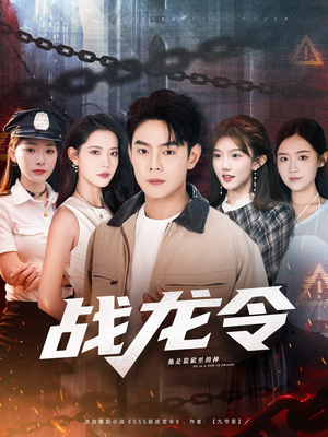 战龙令（76集）短剧看全集