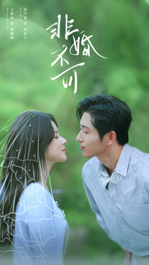 非婚不可(65集) 非婚不可(65集)最新短剧抢先看