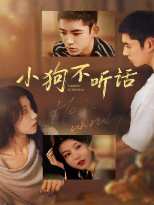 小狗不听话(70集) 小狗不听话(70集)短剧太上头了