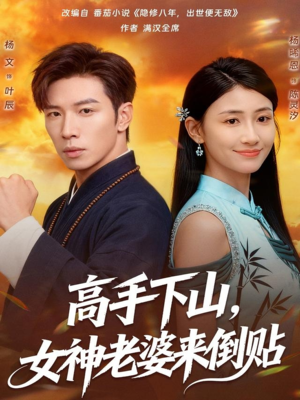 高手下山，女神老婆来倒贴（80集）男主角是谁