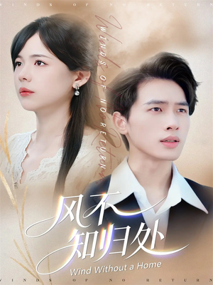 风不知归处(78集) 风不知归处(78集)免费版