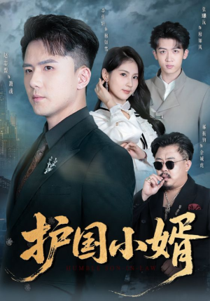 护国小婿(60集) 护国小婿(60集)全剧看到大结局