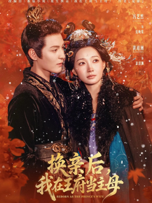 换亲后,我在王府当主母(80集) 换亲后,我在王府当主母(80集)高分推荐免费看