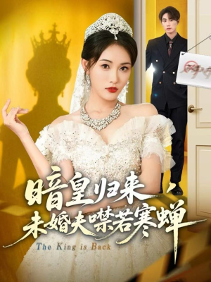 暗皇归来，未婚夫噤若寒蝉（65集）热门短剧免费看