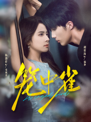 笼中雀（65集）男频短剧推荐