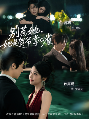 别惹她，她是贺爷掌心雀（69集）推荐好短剧