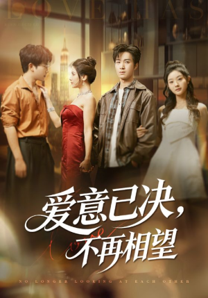 爱意已决不再相望（70集）全集在线看