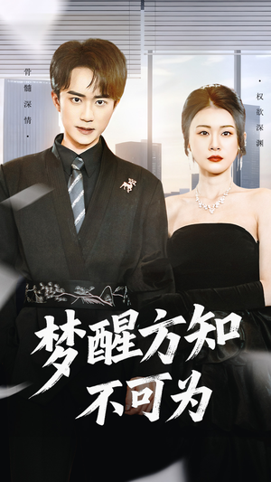 梦醒方知不可为(49集) 梦醒方知不可为(49集)在线看完整版