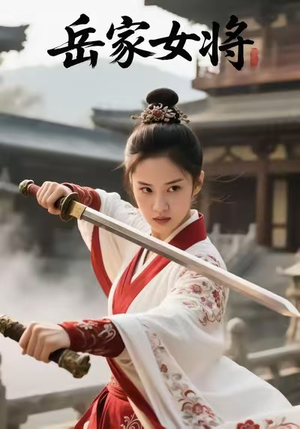 岳家女将（20集）精彩短剧合集