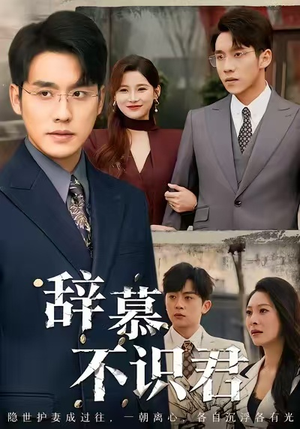 辞慕不识君(77集) 辞慕不识君(77集)在哪里可以全集