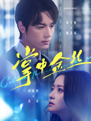 掌中金丝(60集) 掌中金丝(60集)短剧在哪个平台