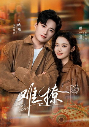 难撩（100集）看到了大结局