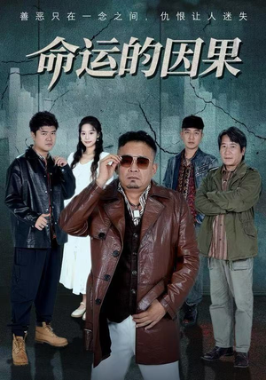 命运的因果（60集）热门短剧免费看