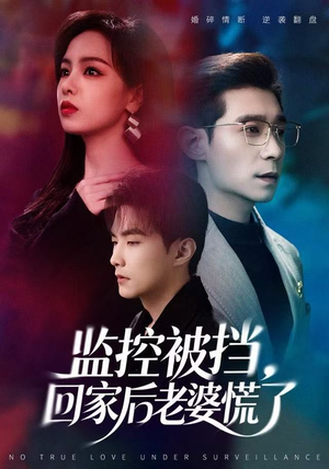 监控被挡,回家后老婆慌了(60集) 监控被挡,回家后老婆慌了(60集)大结局完美收官