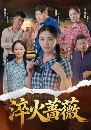 淬火蔷薇（50集）完整版免费观看