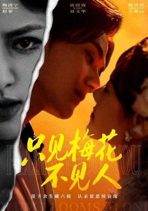 只见梅花不见人（63集）短剧看全集