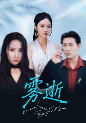 雾逝（30集）怎么看全集